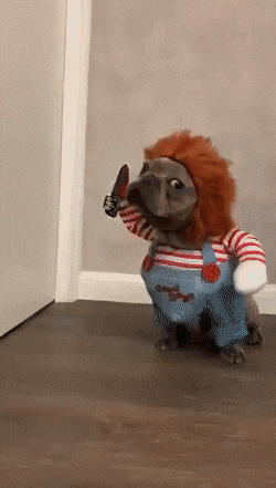 1569365417182.gif
