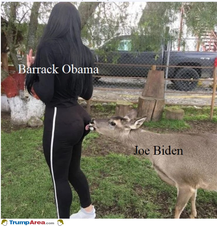 1571855645156.png