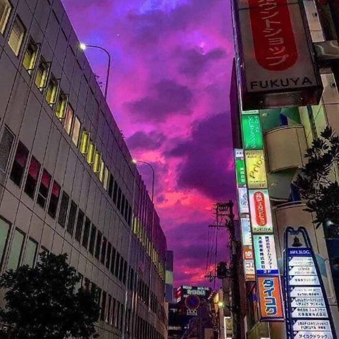 1572230695148.jpeg