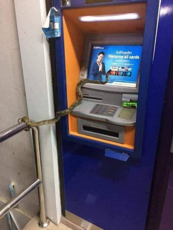 1572261918366.png