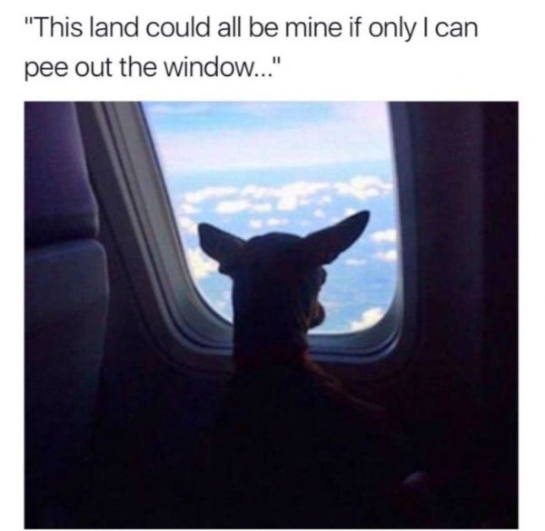 1572262774857.png