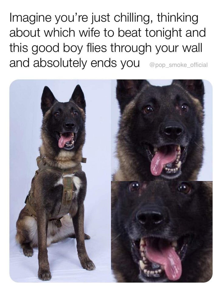 1572319668412.png