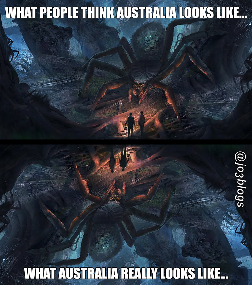 1572368705446.png