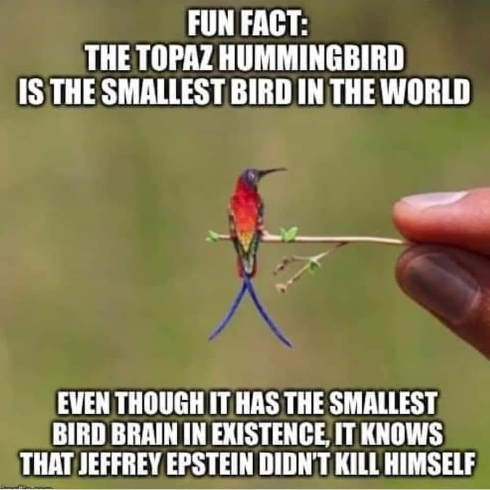 1572387820355.png