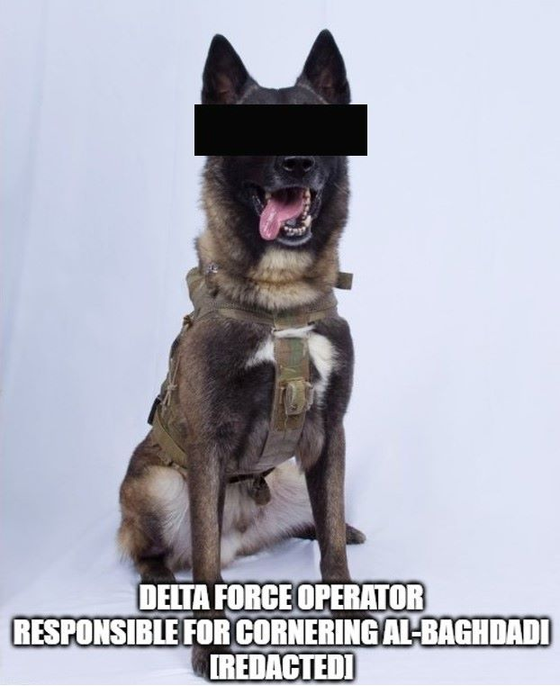 1572399740195.png