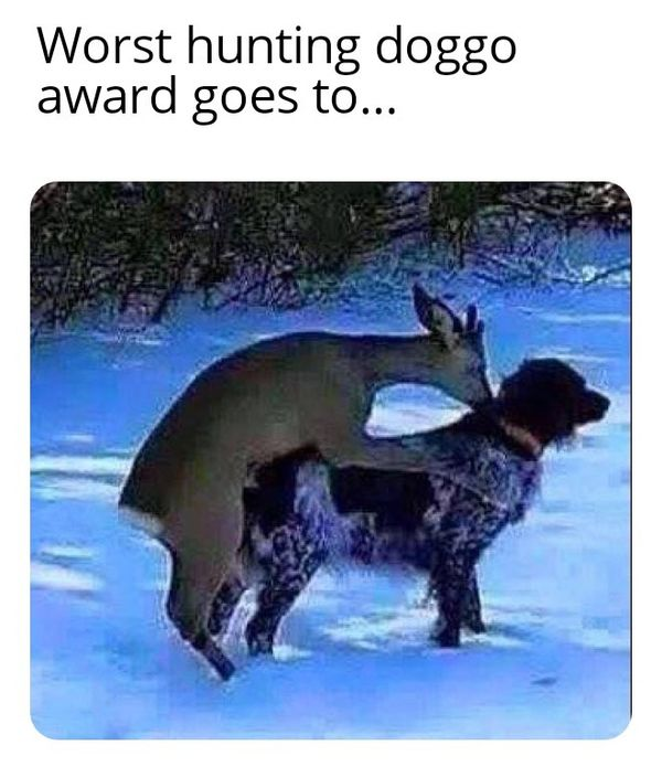 1572431967960.png