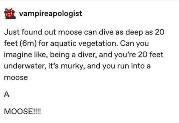 1572870334600.png
