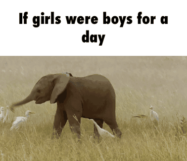 1572985656802.gif