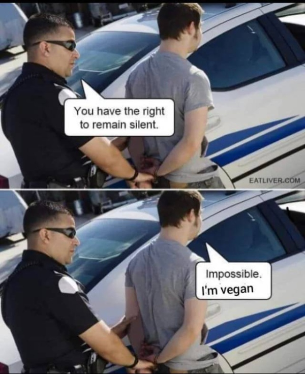 1573126785934.png