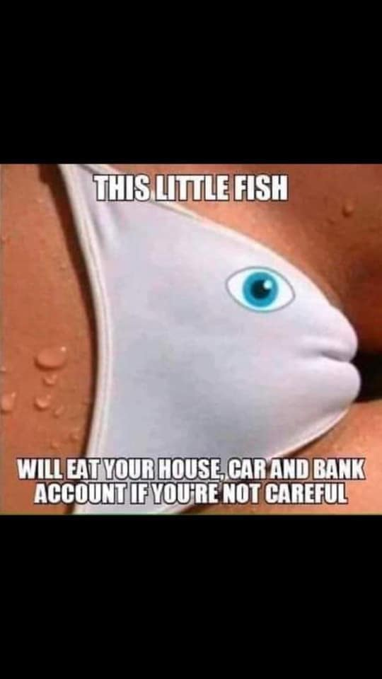 1573166055390.png