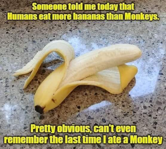 1573313854911.png