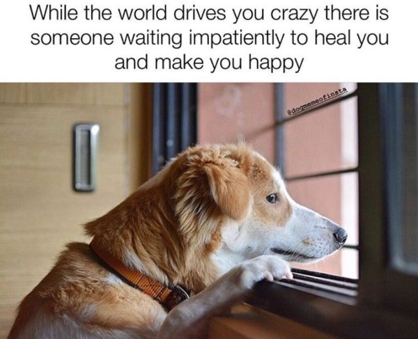 1573415022_LVYZSP4EN4.jpeg