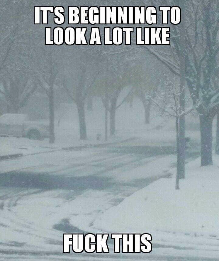 1573566770405.png