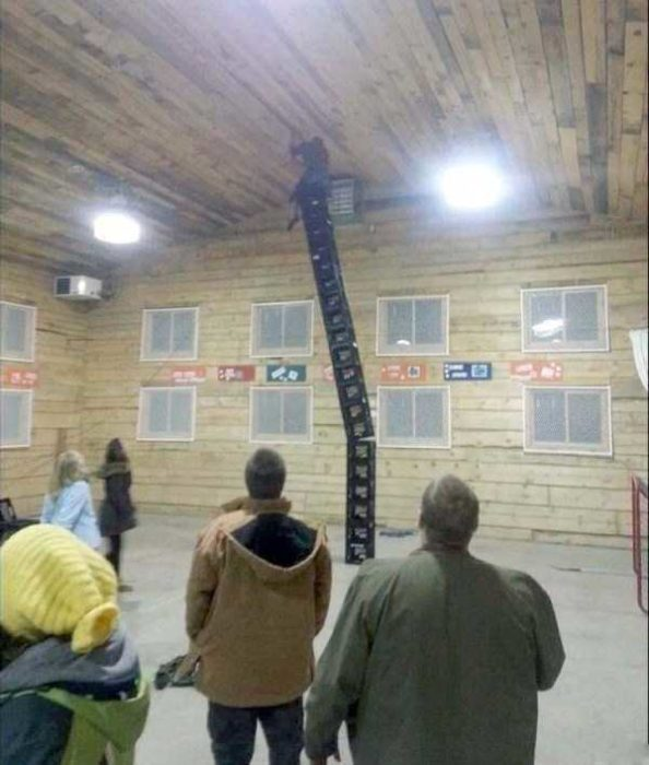 1573601115055.png