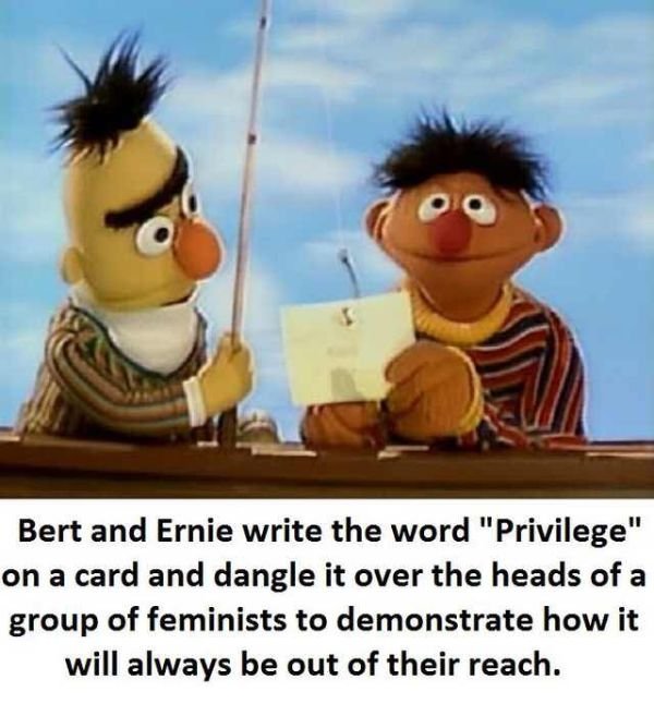 1573670674_JMD2JLD52I.jpeg