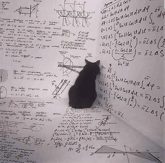 1574009278247.png