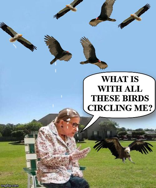 1574046562889.png