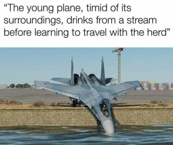 1574073830391.png