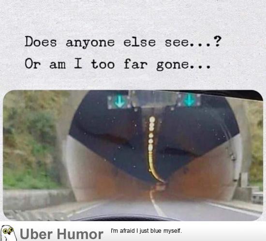 1574185198312.jpeg