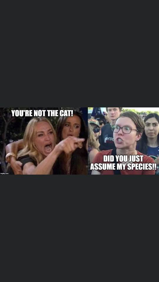 1574296824309.png