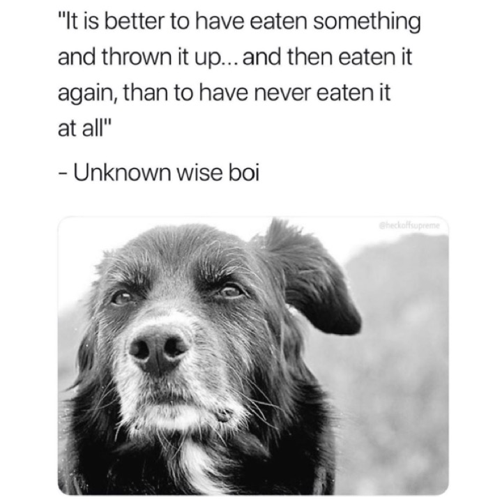 1574307582106.png