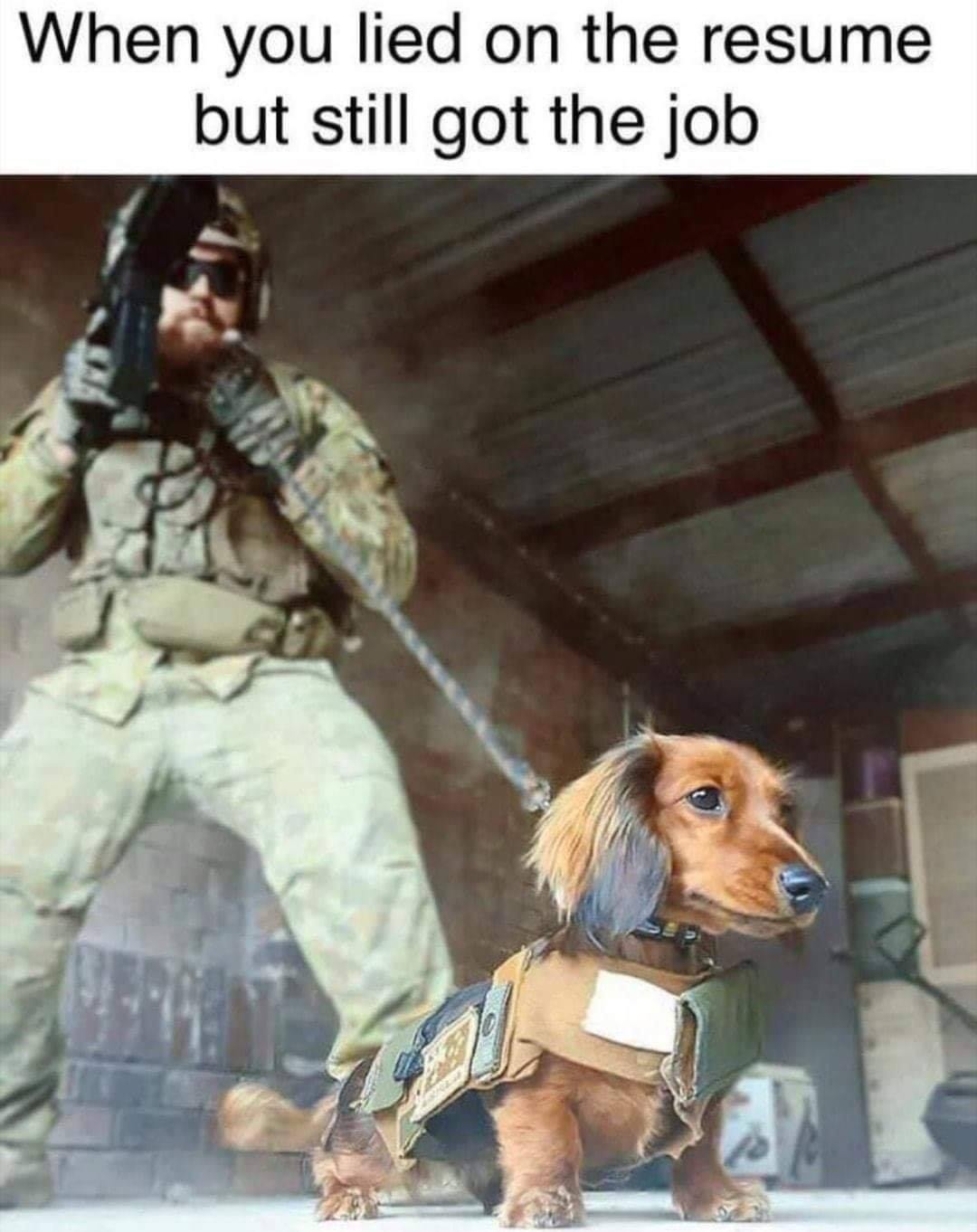 1575247095793.png
