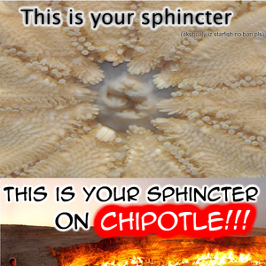 1575406720865.jpeg