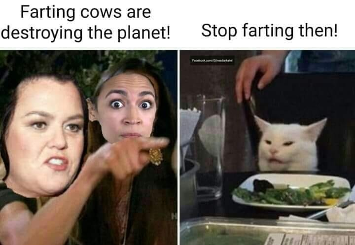 1575460944848.png