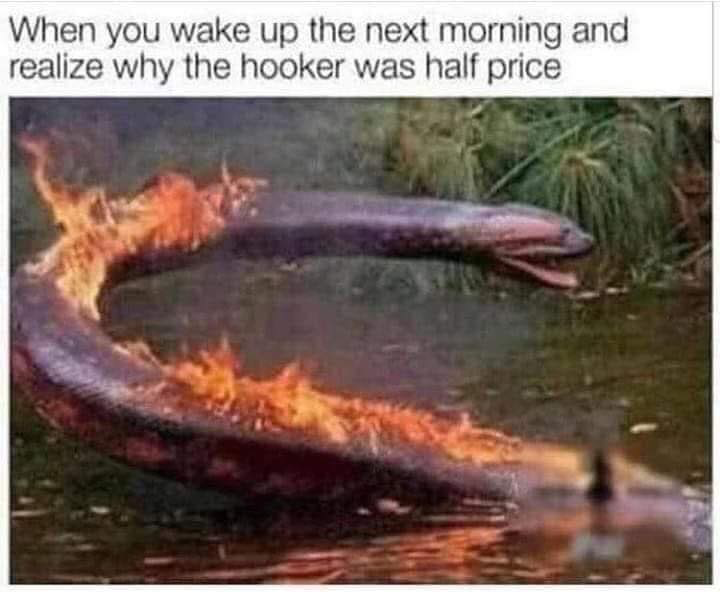 1575510643940.png