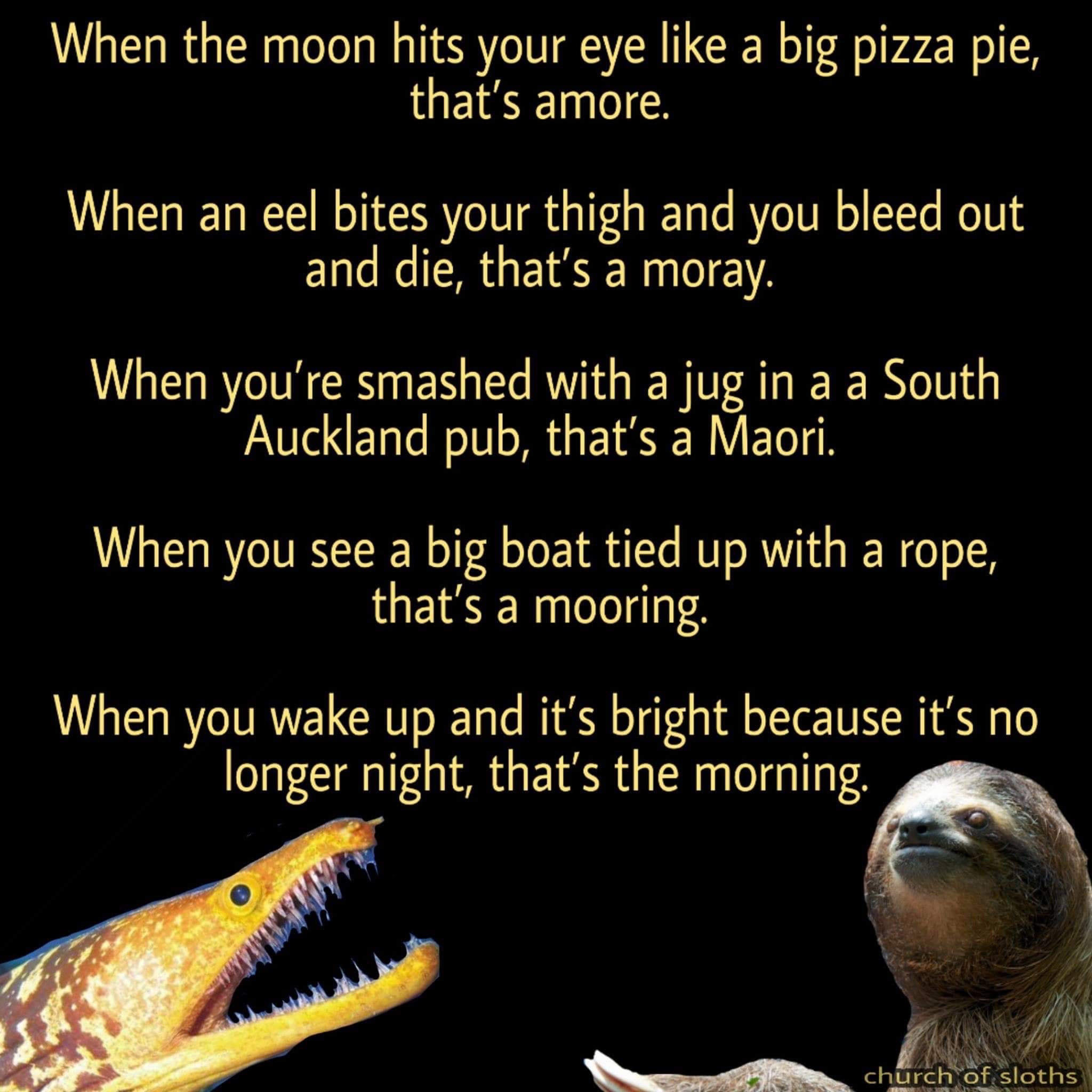 1575531774628.jpeg