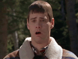 1575963629811.gif