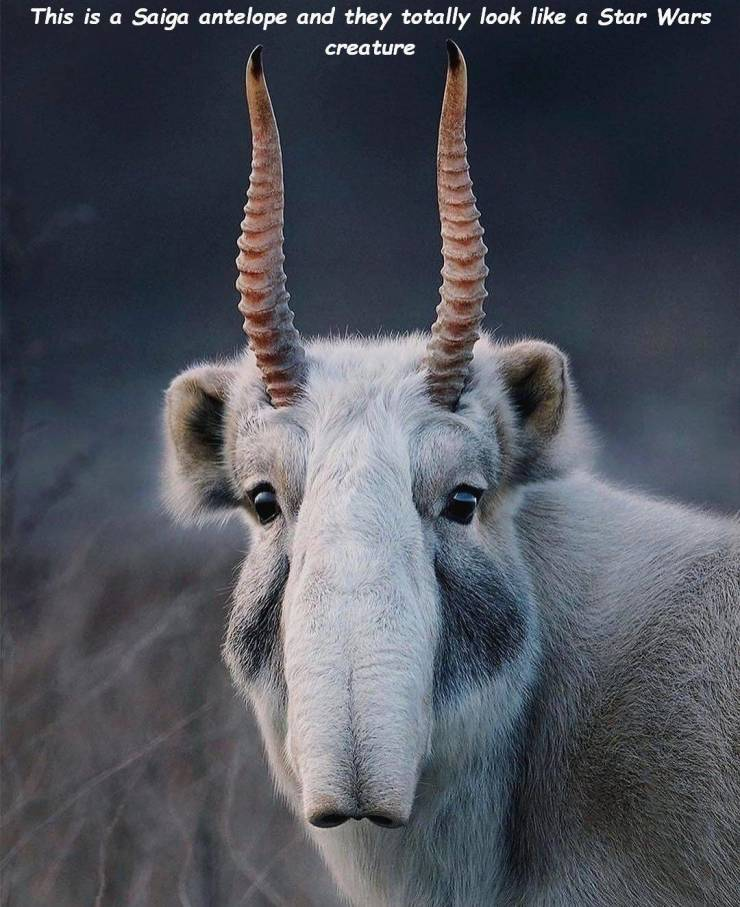 1576067964034.png