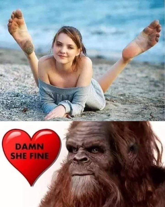 1576435492_tsg5h5k42n.jpeg