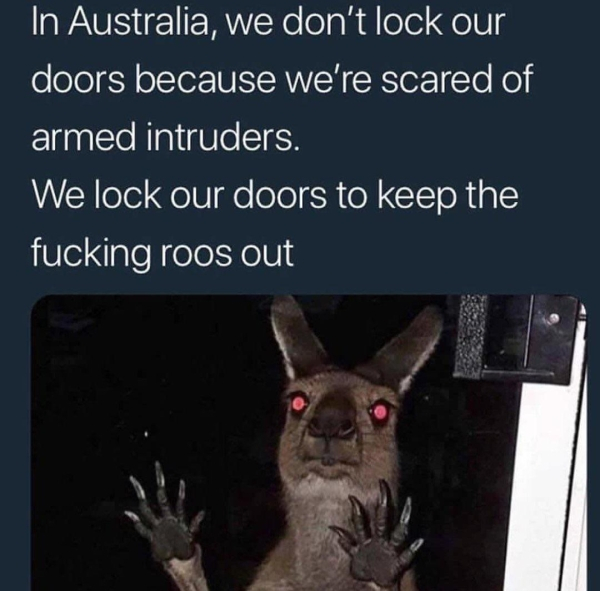 1576744236125.png