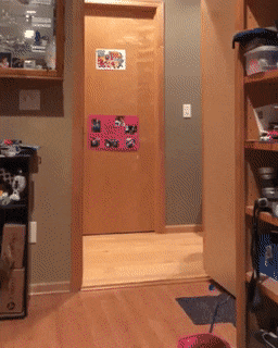 1576780316378.gif