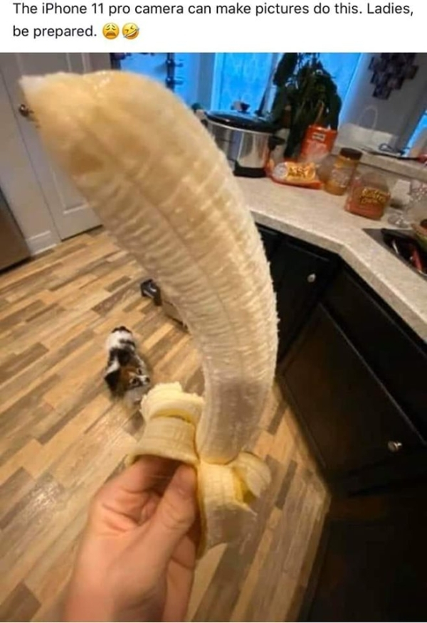 1577593081354.png