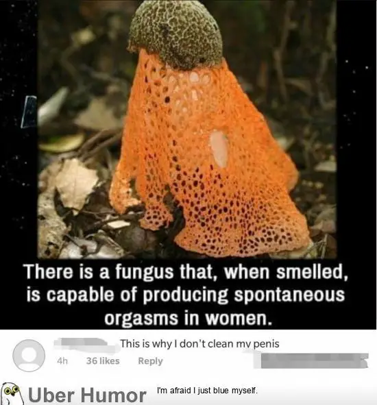 1577670117482.png