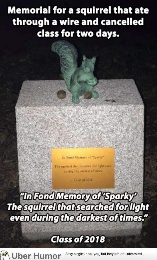 1577797056837.png