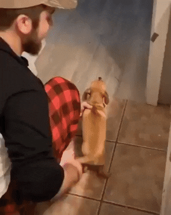 1577945658358.gif