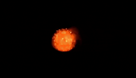 1578018071483.gif