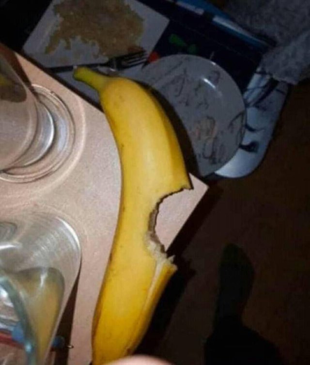 1579203412_csdddv7jzu.jpeg
