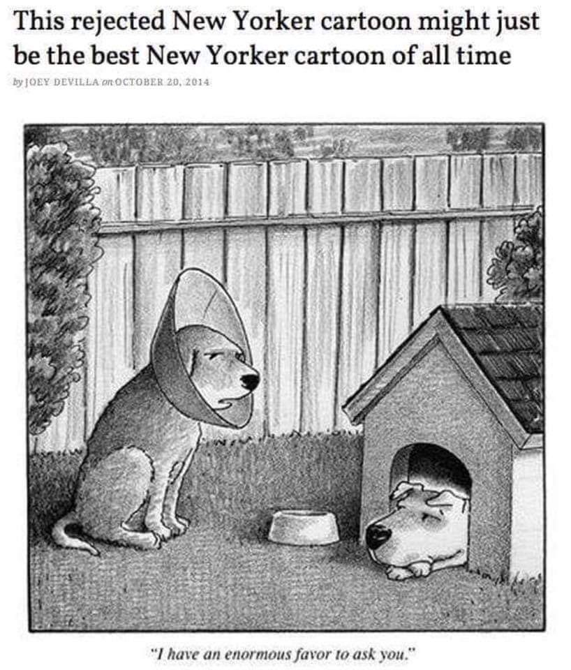 1580324324449.png