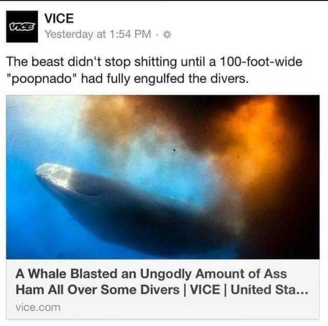 1581282960648.jpeg