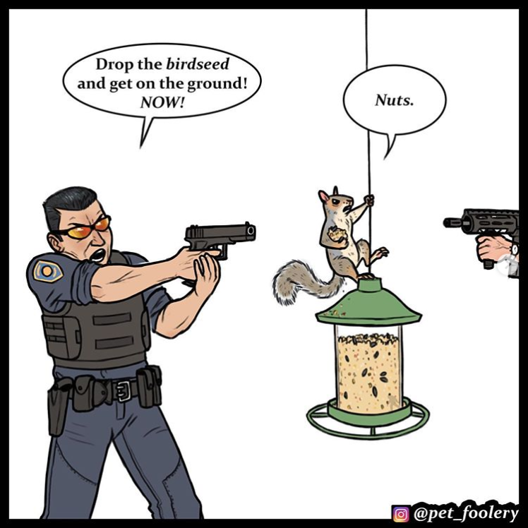 1581870889733.png
