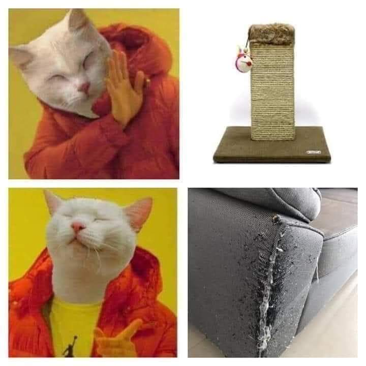 1581983083422.png