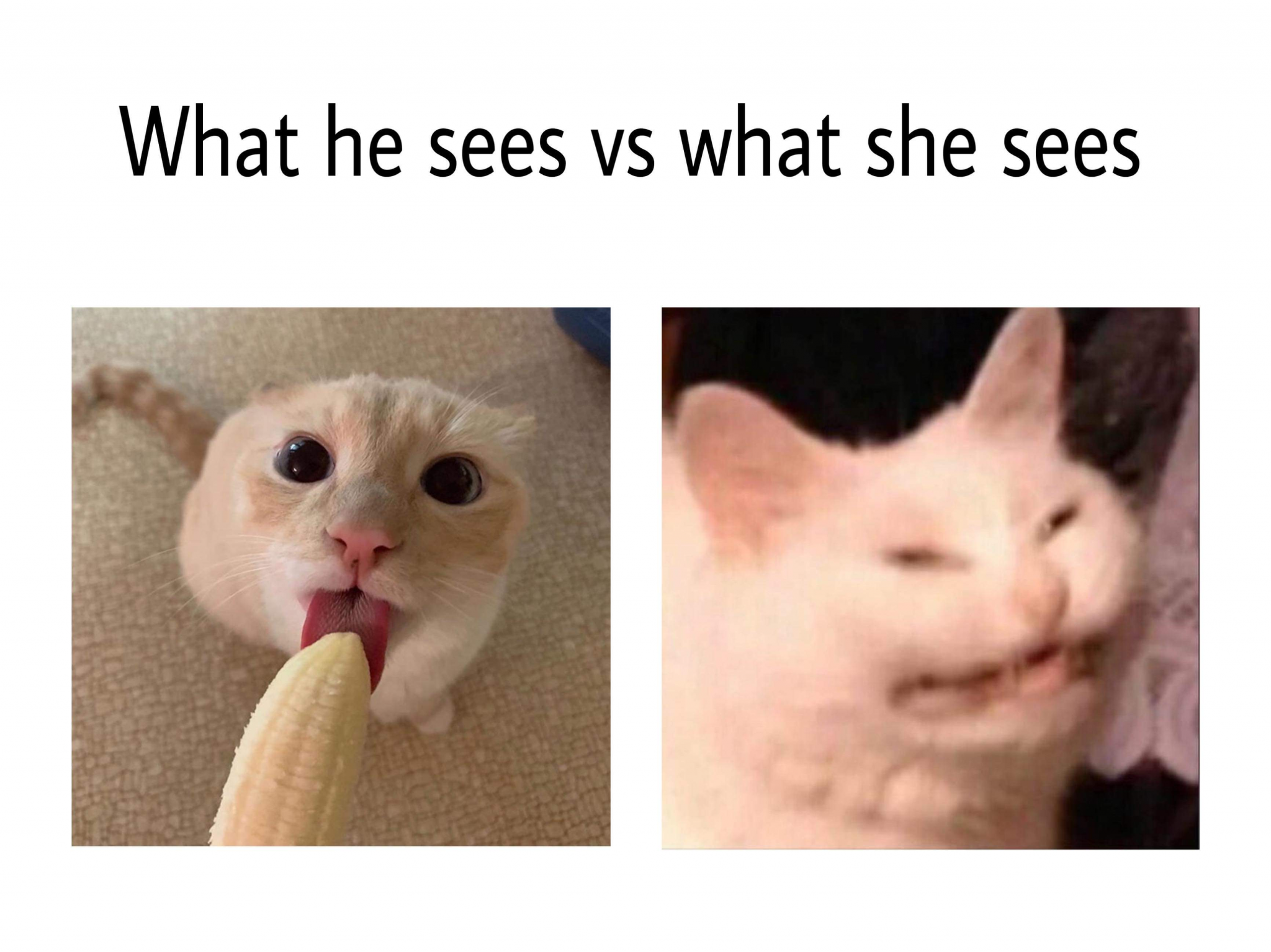 1582138729847.png