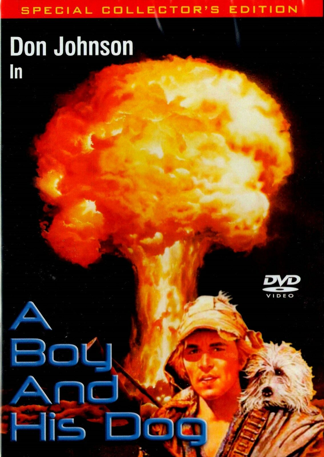 1582182543729.png