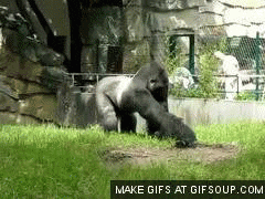 1582214281673.gif
