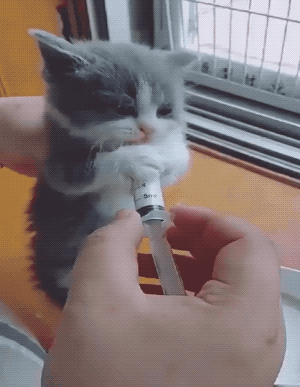 1582223151_zgldj97t05.gif