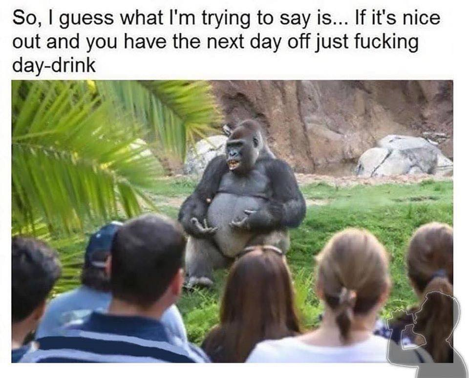 1582265078608.png